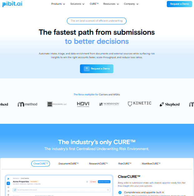 Pibit AI Webflow Case Study